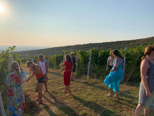 Tirana City Tour & Albanica Cantina Wine Tasting, with Car & Driver/Guide included.