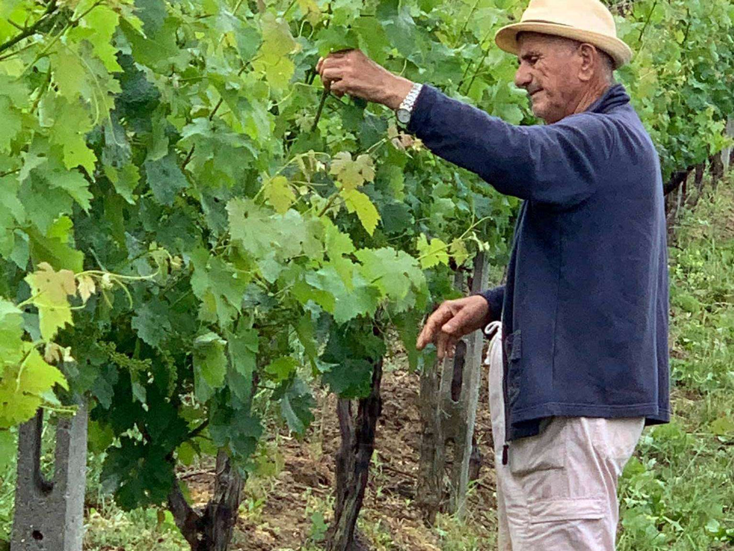 Apollonia Ruins Tour & Albanica Cantina Wine Tasting, with Car & Driver included.