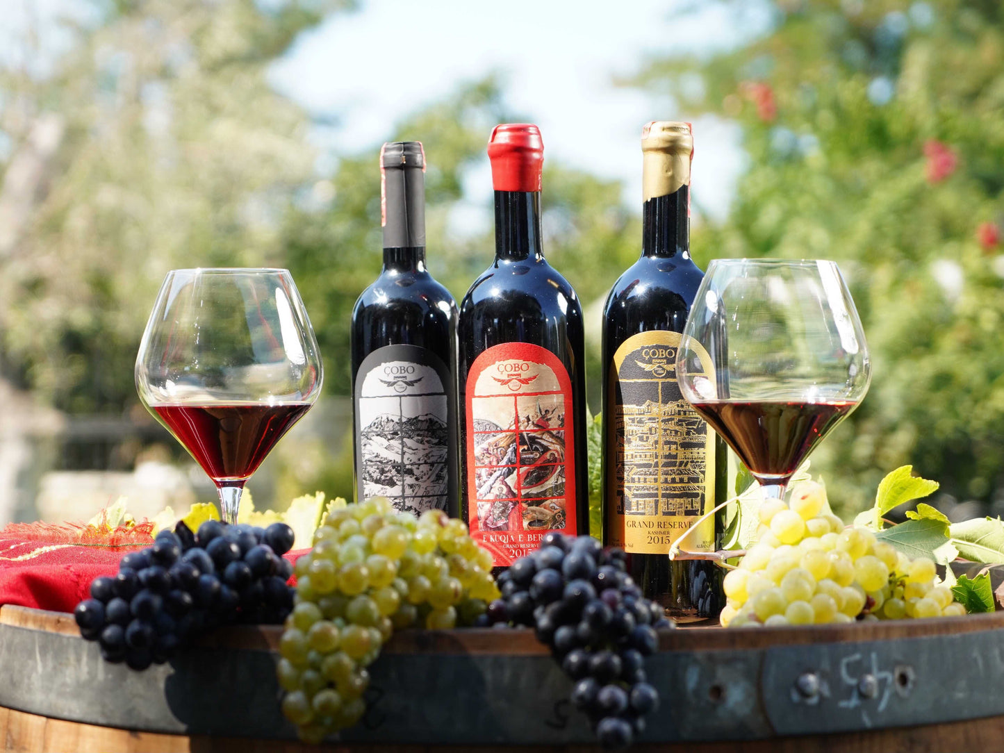 Private 1 Day Tour. Visit UNESCO City of Berat, Castle, & Wine Tasting at Çobo Cantina Included.