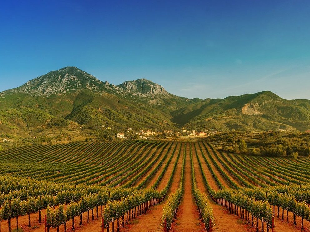 Private 1 Day Tour. Visit UNESCO City of Berat, Castle, & Wine Tasting at Çobo Cantina Included.