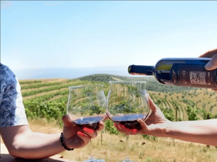 Private 1 Day Tour. Visit UNESCO City of Berat, Castle, & Wine Tasting at Çobo Cantina Included.