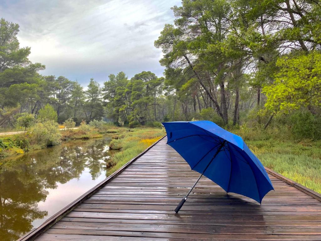 1 Day, Private Guided Tour, Ancient Ruins of Apollonia and Nature Exploring in Karavasta Lagoon