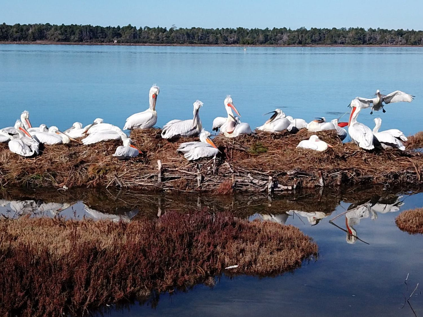 1 Day, Private Guided Tour, Ancient Ruins of Apollonia and Nature Exploring in Karavasta Lagoon