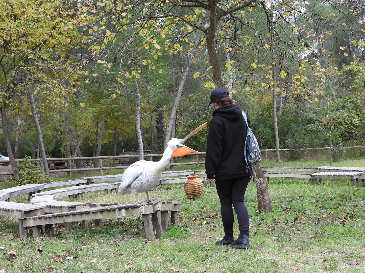 1 Day, Private Guided Tour, Ancient Ruins of Apollonia and Nature Exploring in Karavasta Lagoon
