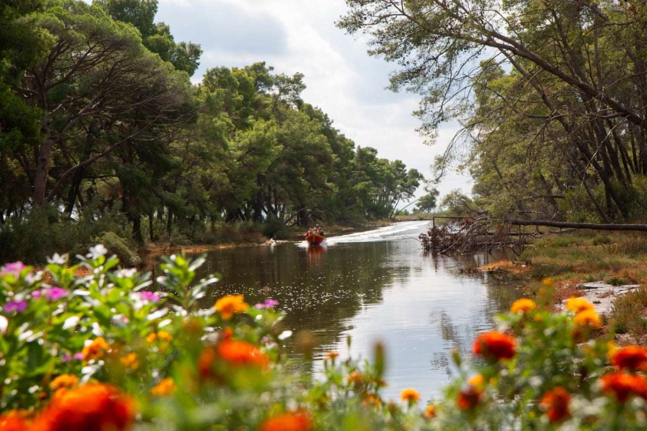 Private Day Tour of Ancient Apollonia and Karavasta Lagoon, Car & Driver included