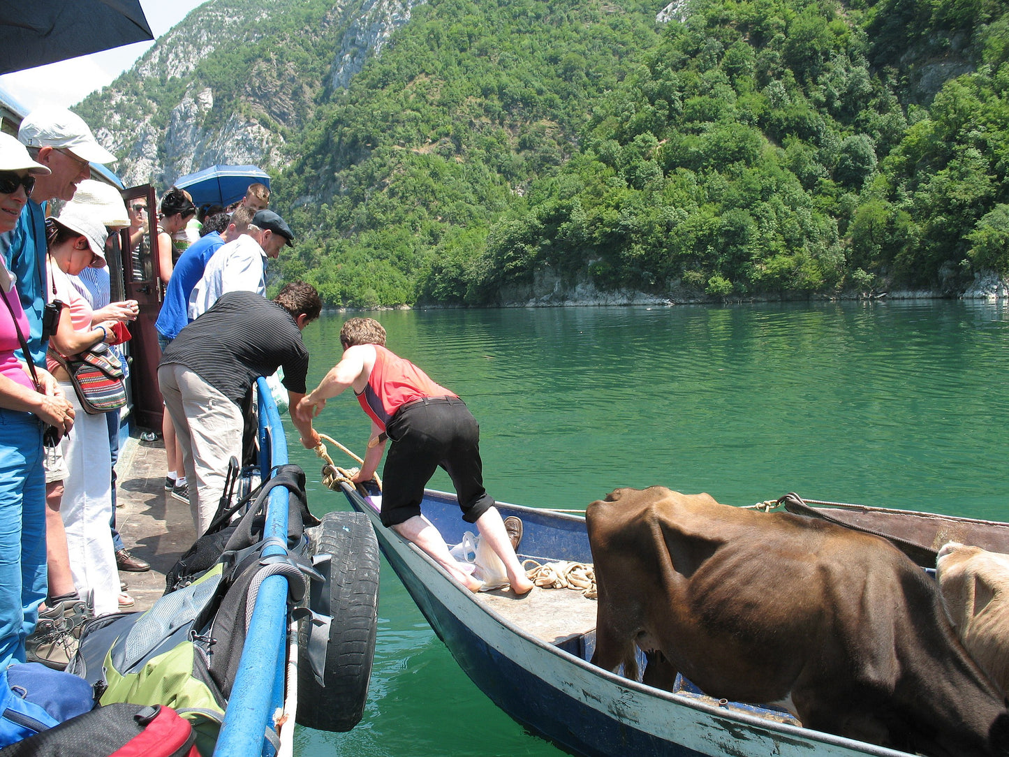 Tour of Shala River, Albanian Alps 1 Day