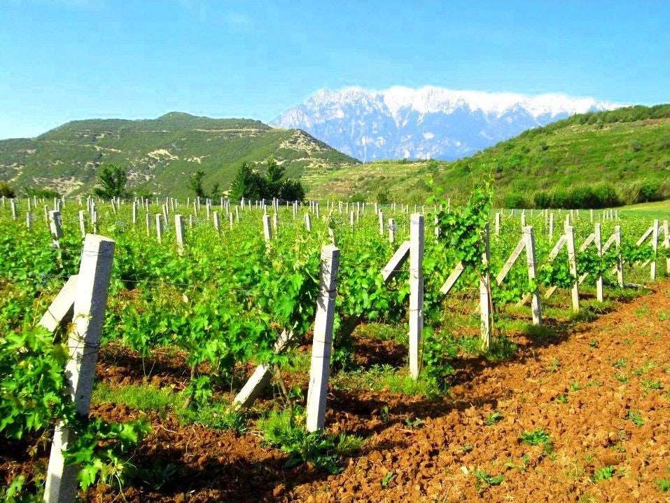 Berat Castle Tour & Nurellari Cantina Wine Tasting, with Car & Driver included.
