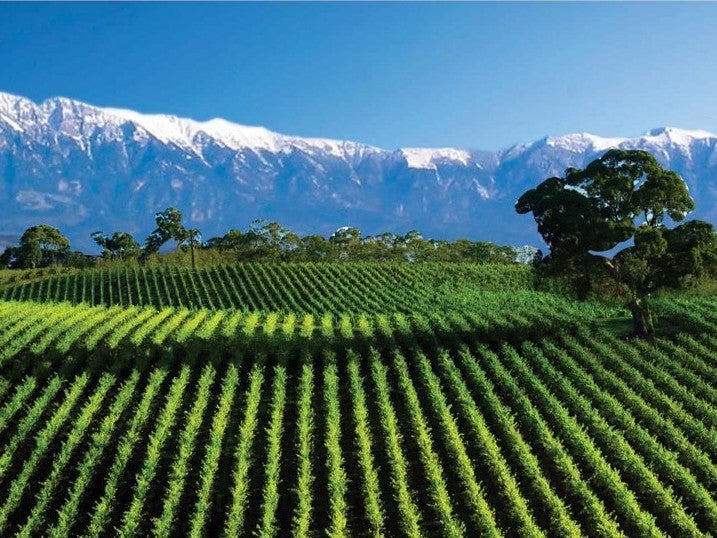 Private 1 Day Tour. Visit UNESCO City Berat, Castle & Wine Tasting at Nurellari Cantina Included.