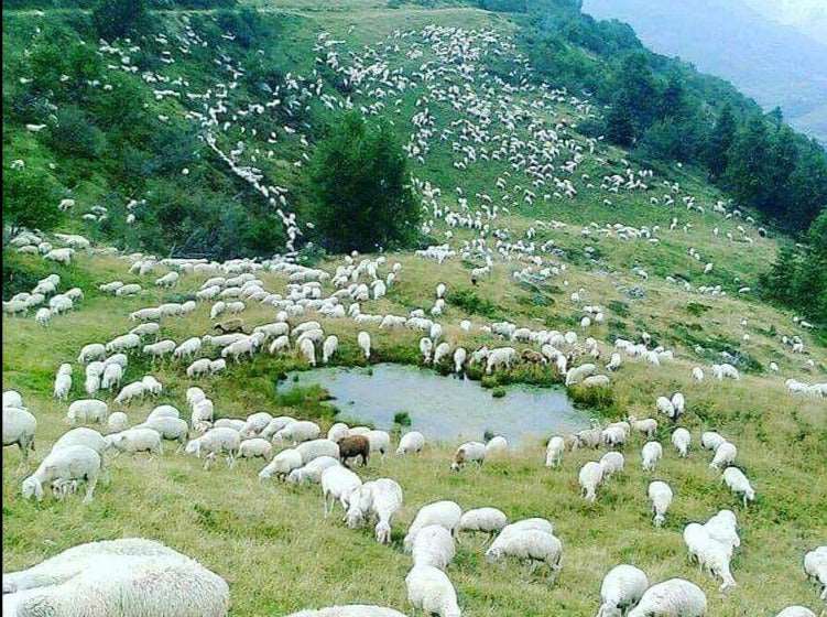 Tur Grup në Theth 2 Ditë €79