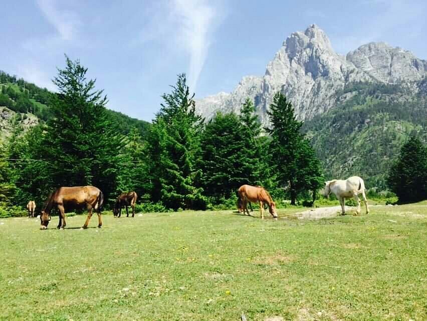 Visite privée de 2 jours du lac Komani, des Alpes albanaises, de Valbona et de Prizren, au Kosovo. Voiture, Chauffeur, Hôtel inclus