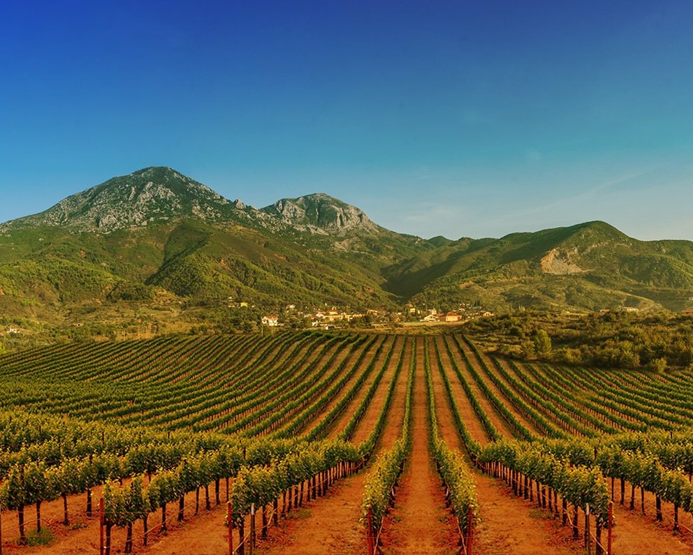 1 Tag, geführte Tour, UNESCO-Stadt Berat mit optionaler Weinprobe.