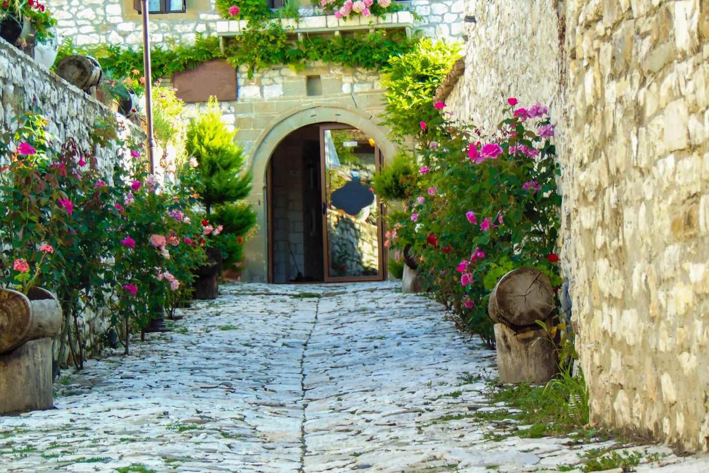 Private 5 Day Get Away Tour in Albania. Guide, Car, Hotel, Entry fees included.