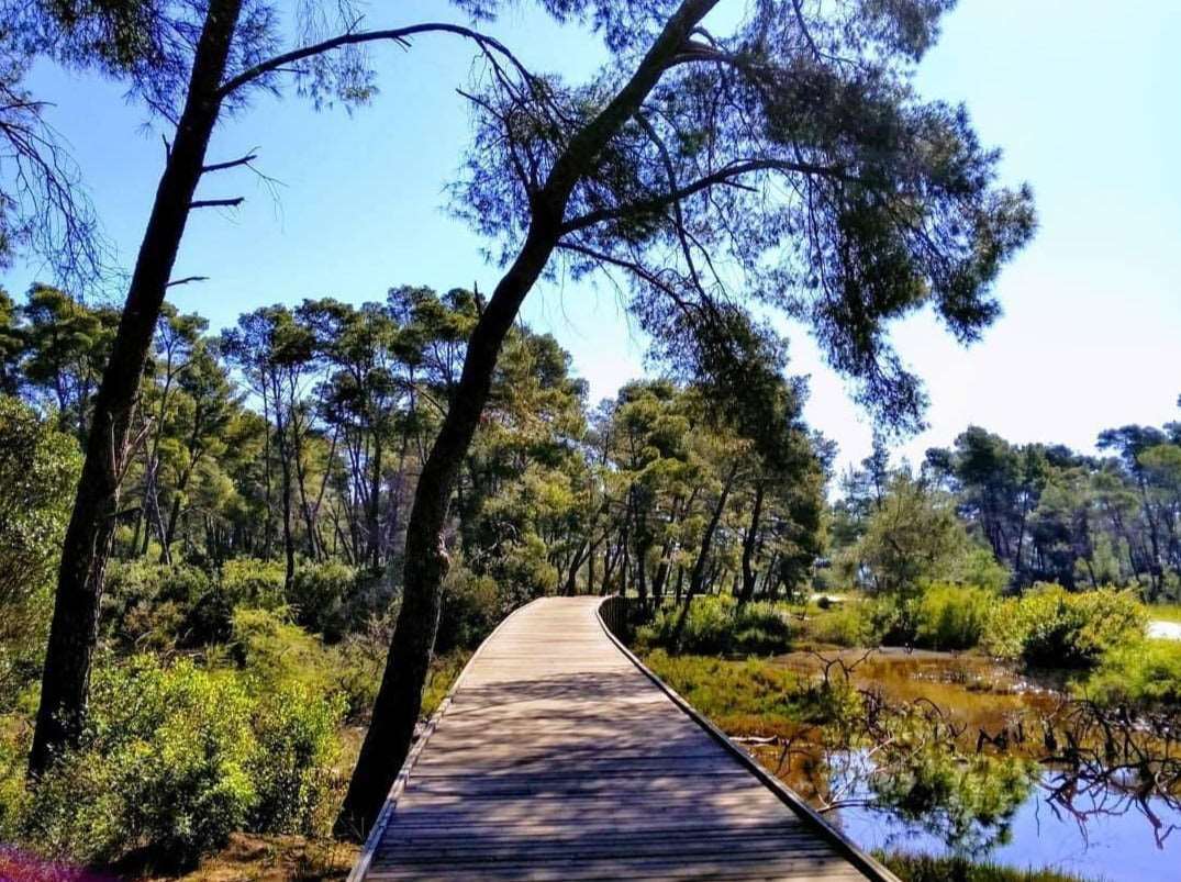 Private Day Tour of Ancient Apollonia and Karavasta Lagoon, Car & Driver included