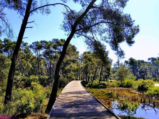 Private Day Tour of Ancient Apollonia and Karavasta Lagoon, Car & Driver included