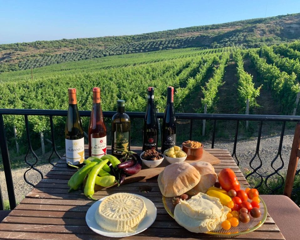 Wine Tasting Tours in Albania - Popular