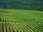 Tirana City Tour & Albanica Cantina Wine Tasting, with Car & Driver/Guide included.