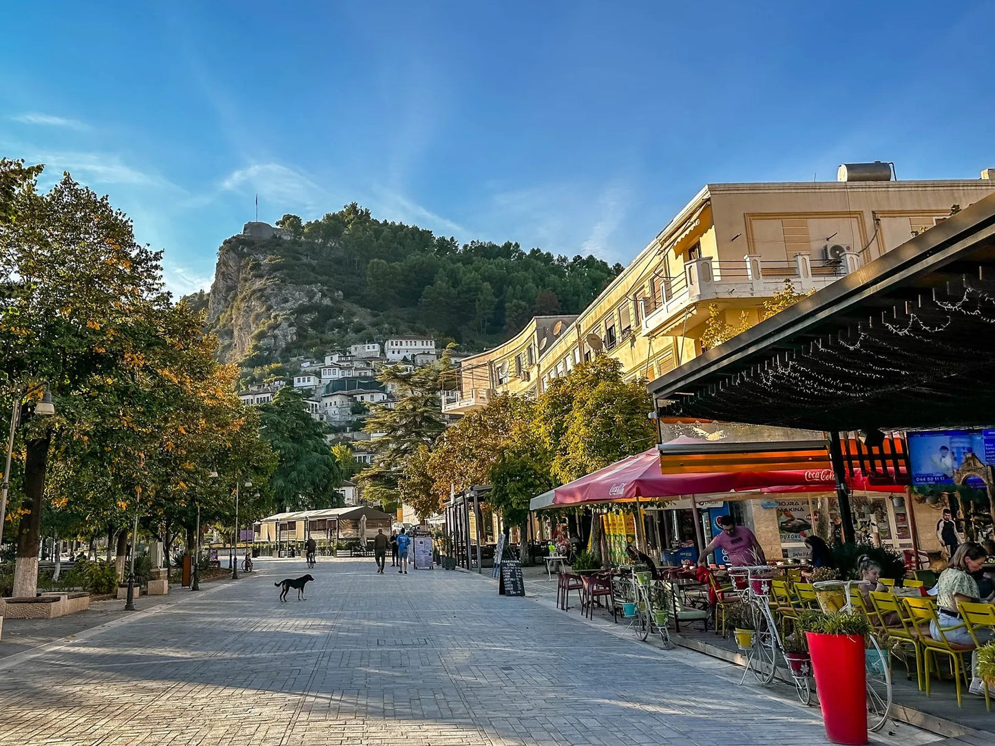 1 Day Tour UNESCO City of Berat, optional Wine Tasting, Car & Driver included. No Guide