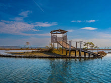 Cargar imagen en el visor de la galería, 1 Day, Private Guided Tour, Ancient Ruins of Apollonia and Nature Exploring in Karavasta Lagoon
