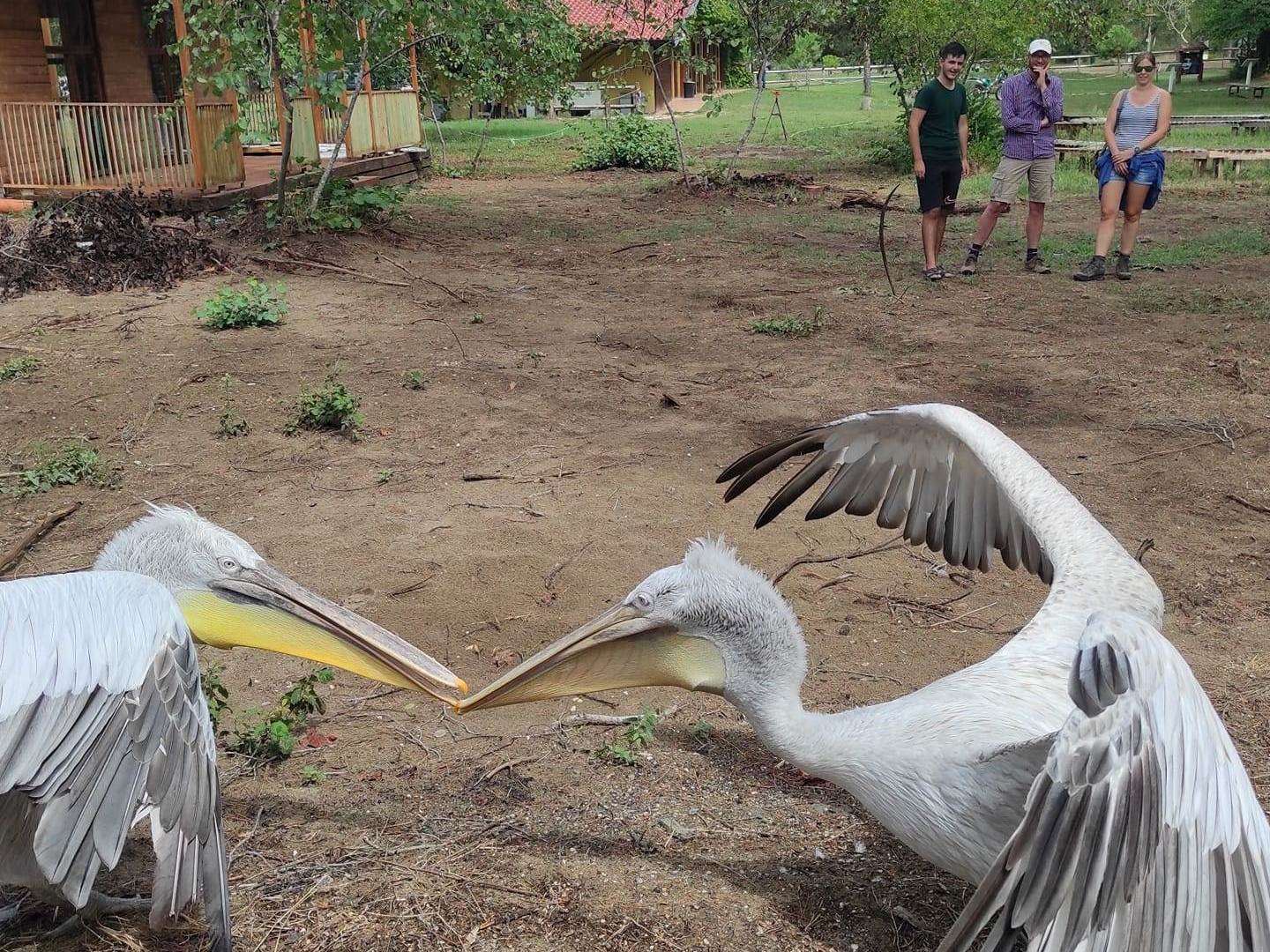 Karavasta Lagoon Tour & Albanica Cantina Wine Tasting, with Car & Driver included.