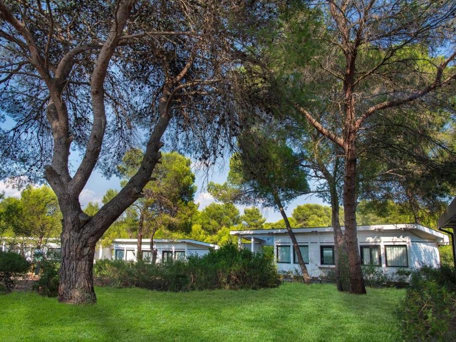 Pulia - Ethra Reserve Alborea Ecolodge Resort 5* BLUSERENA