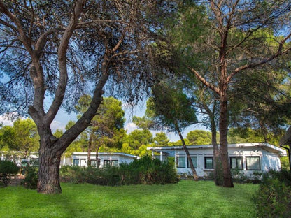 Pulia - Ethra Reserve Alborea Ecolodge Resort 5* BLUSERENA