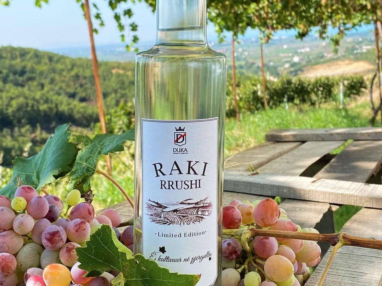 Tirana City Tour & Duka Cantina Wine Tasting, with Car & Driver/Guide included