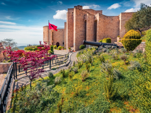 Charger l&#39;image dans la galerie, Visite privée d&#39;une journée de la ville UNESCO de Berat avec expérience viticole en option, voiture et chauffeur inclus
